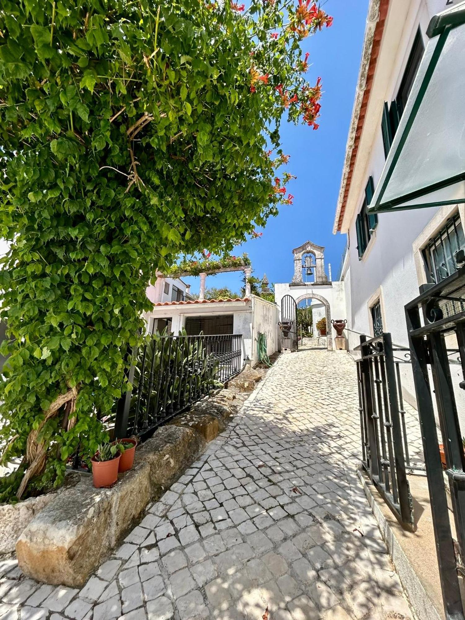 Traditional Portuguese Village House - Casa Martins No 52 Freiria Exteriör bild